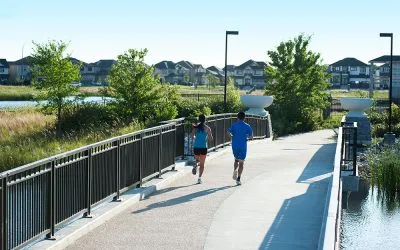 Get MORE from The Neighbourhoods of Bridgwater