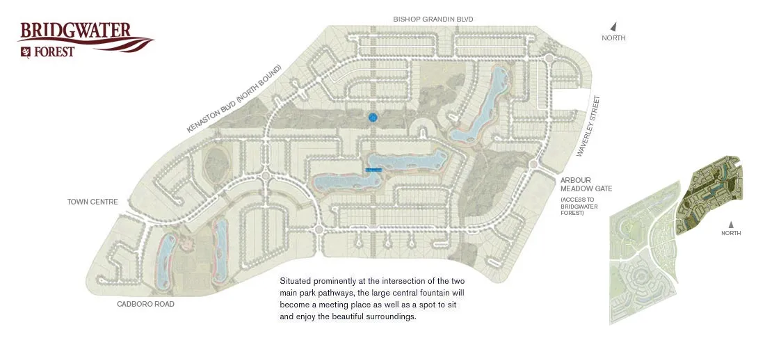 imap-forest-plazas